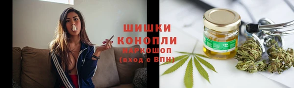 прущая мука Ельня
