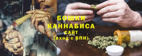 прущая мука Ельня