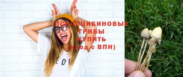 прущая мука Ельня