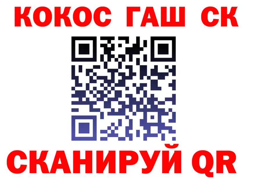 А ПВП СК ТОР маркетплейс OMG Кирс